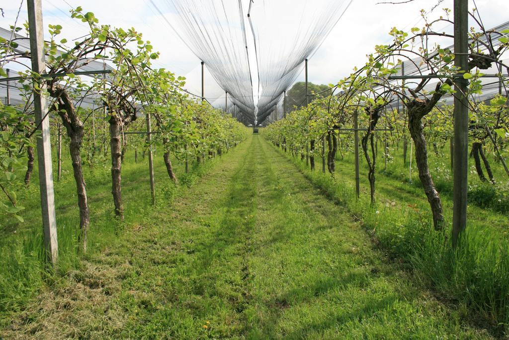 La Meridiana Crocetta del Montello ภายนอก รูปภาพ
